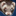 ICONS ID:251029 grassrootspeace.org