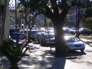 CIMG7842